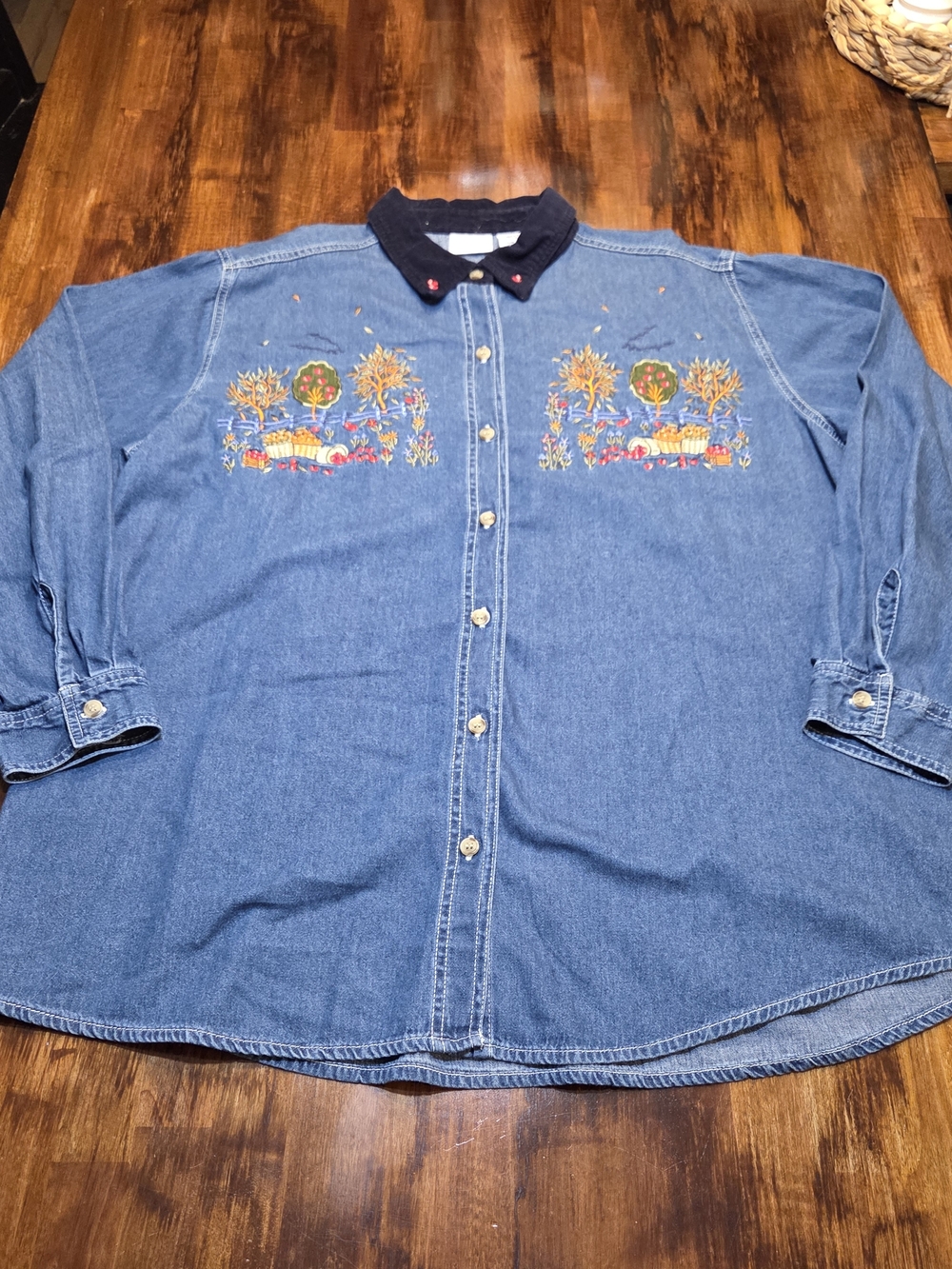 Vintage 90’s Embroidered Fall Themed Leaves Apples Long Sleeve Denim Shirt 22/24